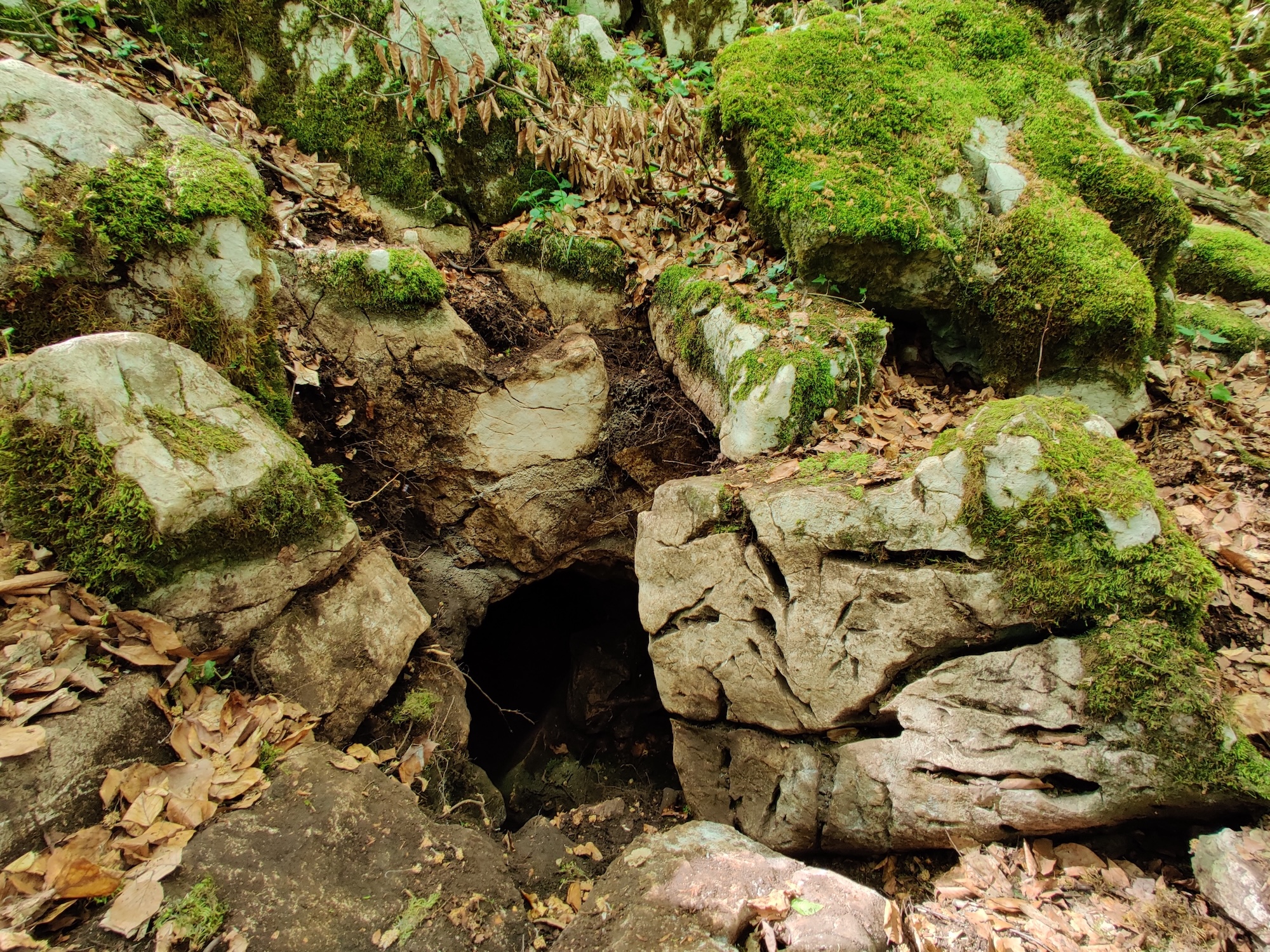 Peștera Sanela - Image 1